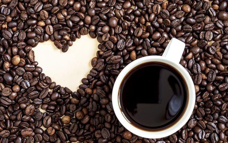 Artisan Whisper – The Gentle Brew